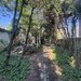 Gradina Icoanei Proprietate unica