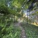 Gradina Icoanei Proprietate unica